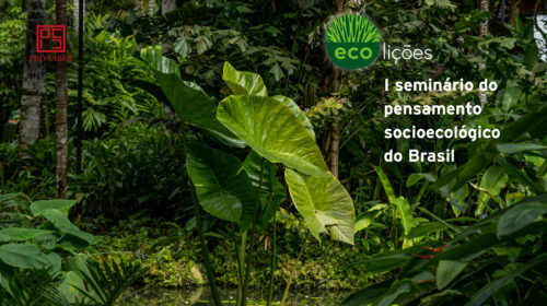 ECO LIÇÕES, o primeiro seminário sobre a jornada do pensamento socioecológico do Brasil